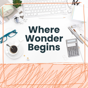 where wonder begins (2)